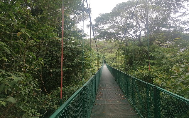 11 monteverde hanging bridges (29)