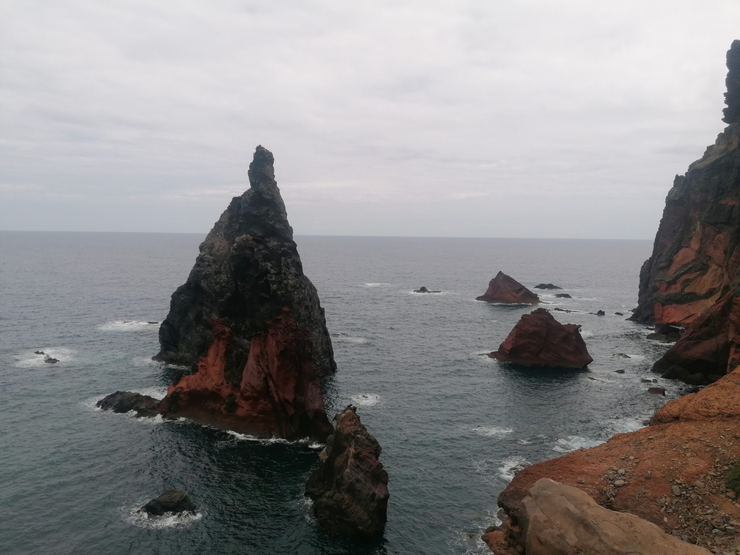 9 ponta de são lourenço (7)
